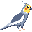 Cacatúa